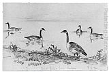 Shepard Alonzo Mount Wild Geese (from McGuire Scrapbook) painting